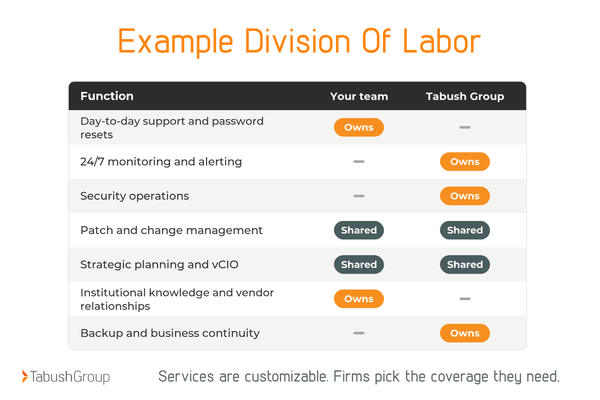Co-managed_IT_accounting_finance__division_of_labor_
