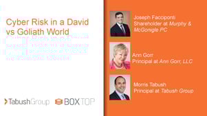 Cyber Risk in a David vs Goliath World_Cover Slide-2